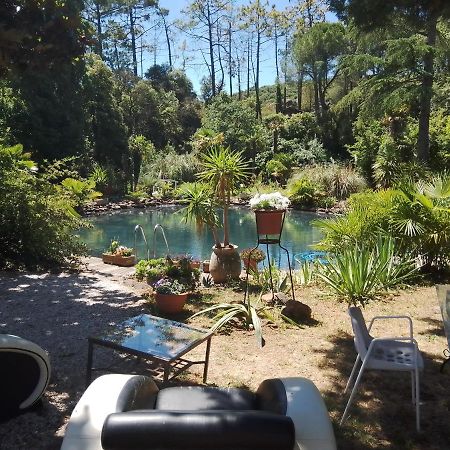 Chambre studio Verparadis Mourèze Exterior foto