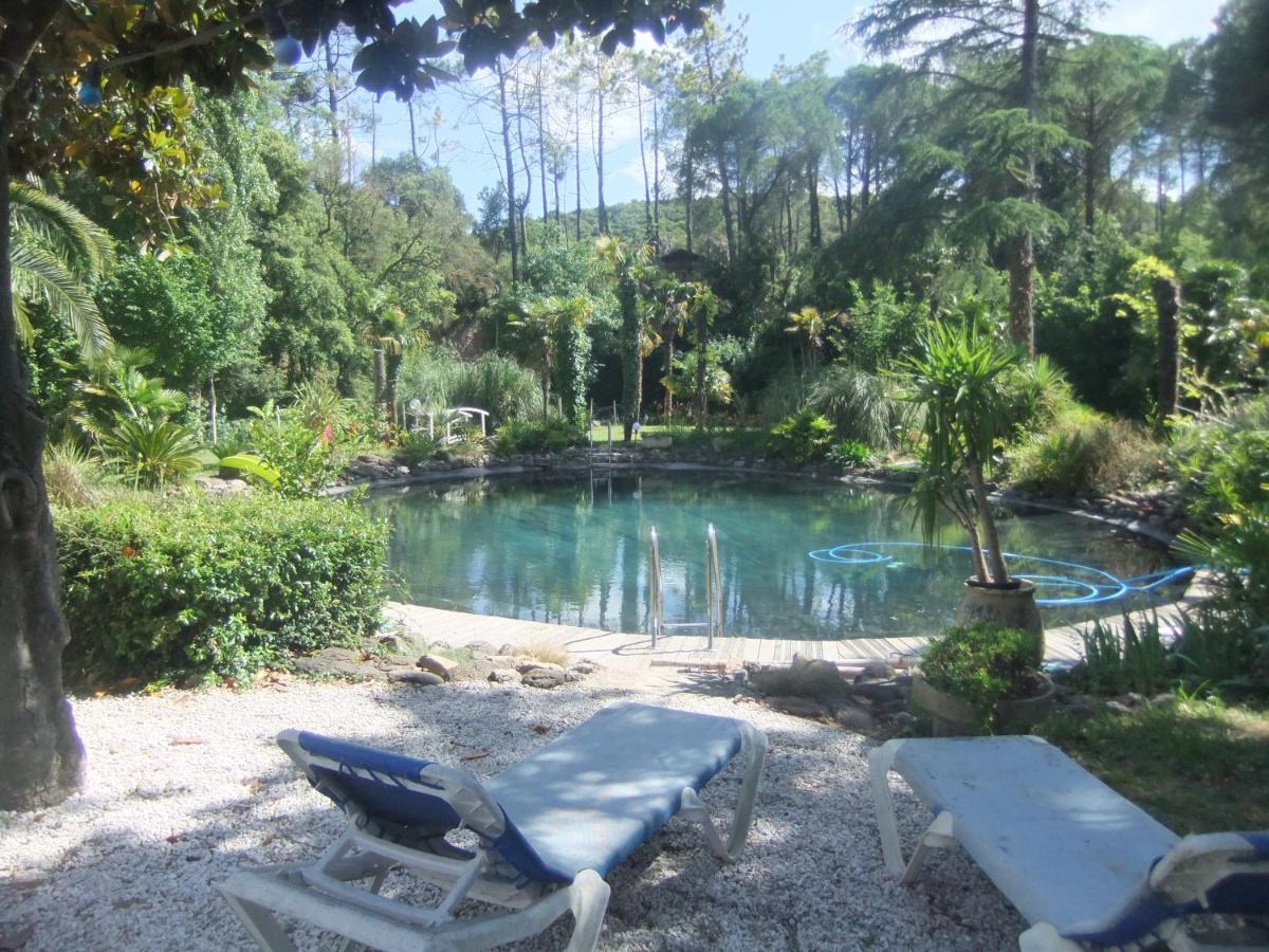 Chambre studio Verparadis Mourèze Exterior foto