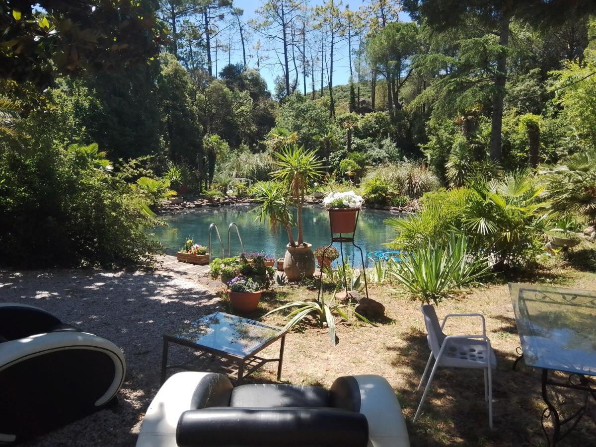 Chambre studio Verparadis Mourèze Exterior foto